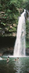 Watefall - Taveuni, Fiji by Morgan Ashton 